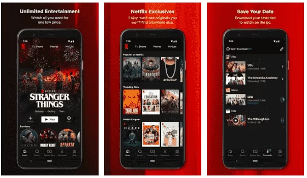 Netflix Mod Apk