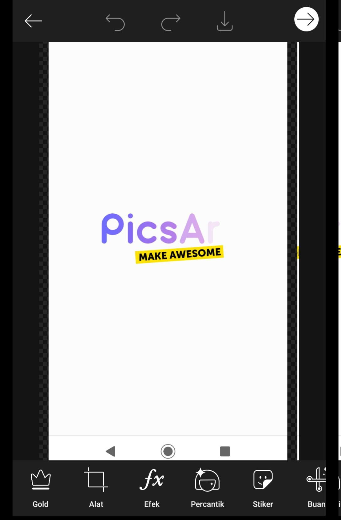 PicsArt Pro Mod Apk