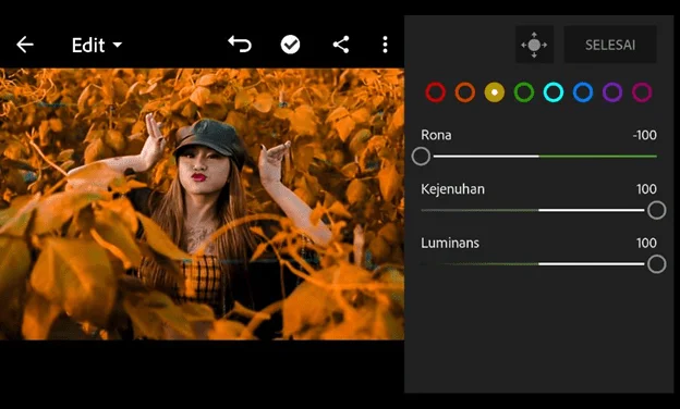 Cara Edit Foto di Lightroom