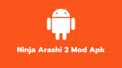 Ninja Arashi 2 Mod Apk