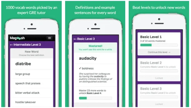 Vocabulary Builder
