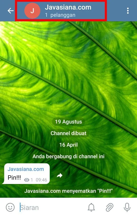 Cara Agar Pesan Yang disematkan Tidak dihapus