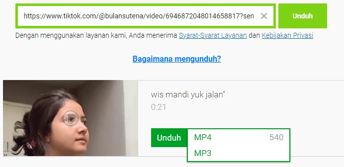 Cara Download Lagu TikTok Menggunakan Situs Savefrom.net