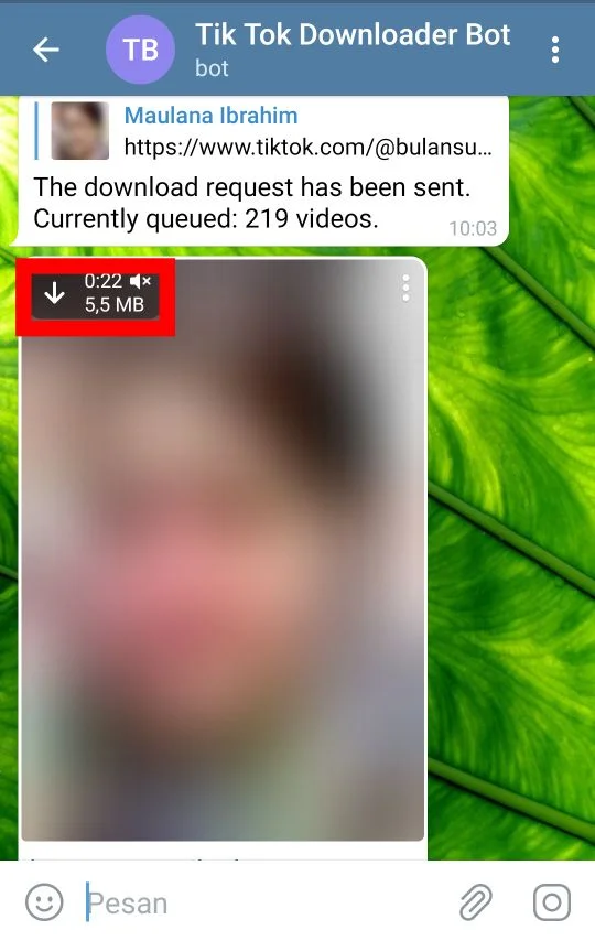 Cara Download Video TikTok di Telegram