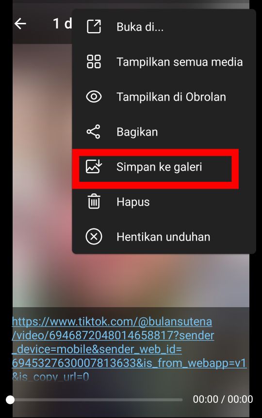 Cara Download Video TikTok di Telegram