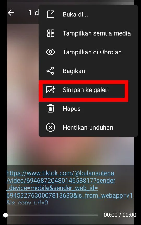 Cara Download Video TikTok di Telegram