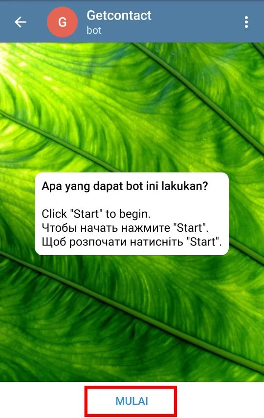Bot Get Contact di Telegram