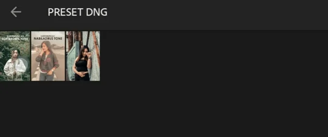 Cara Pasang Preset di Adobe Lightroom