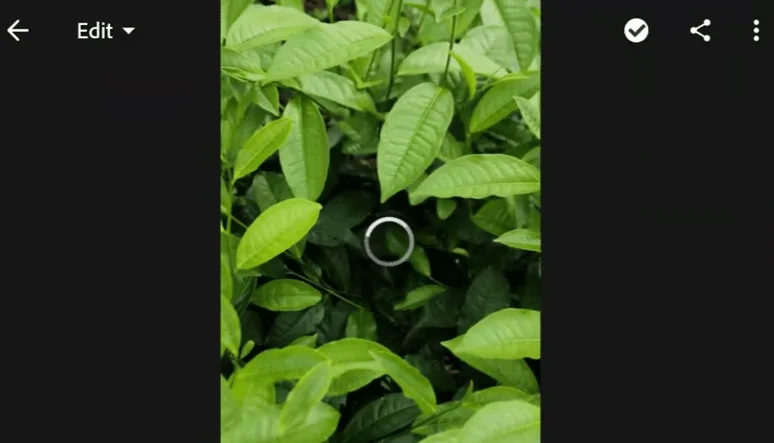 Cara Pasang Preset di Adobe Lightroom