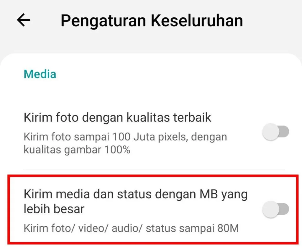 Cara Menggunakan GB Whatsapp