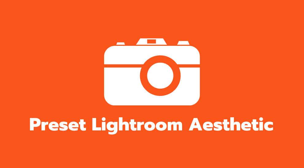 Preset Lightroom Aesthetic
