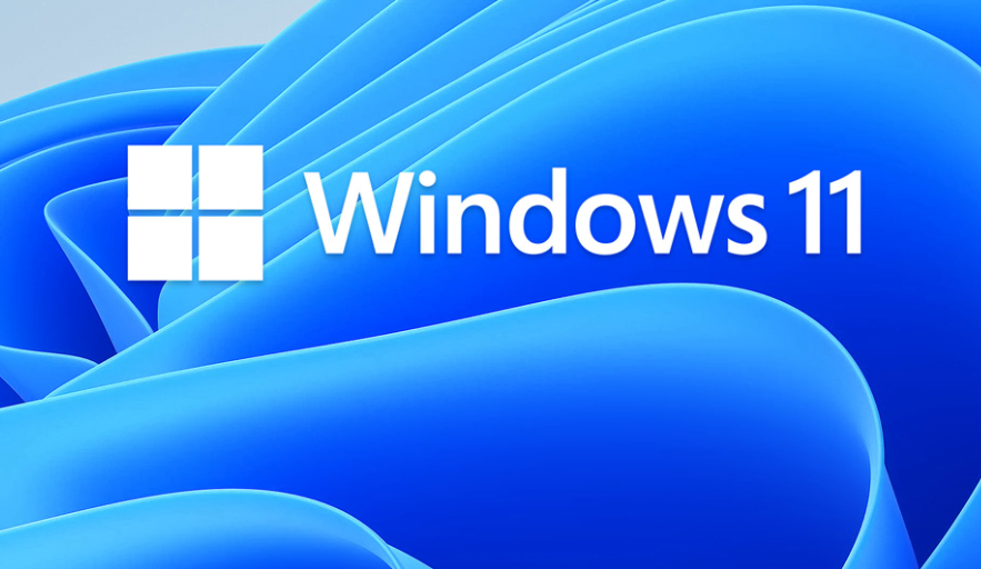 Windows 11 ISO