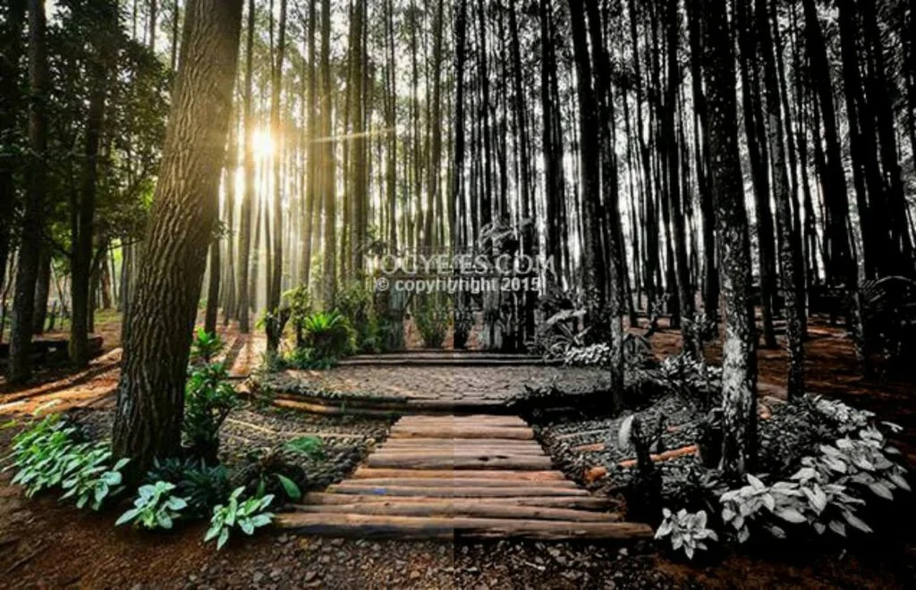 Rumus Lightroom Dark Outdoor