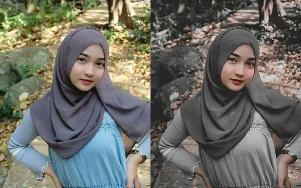 Rumus Lightroom Dark Outdoor