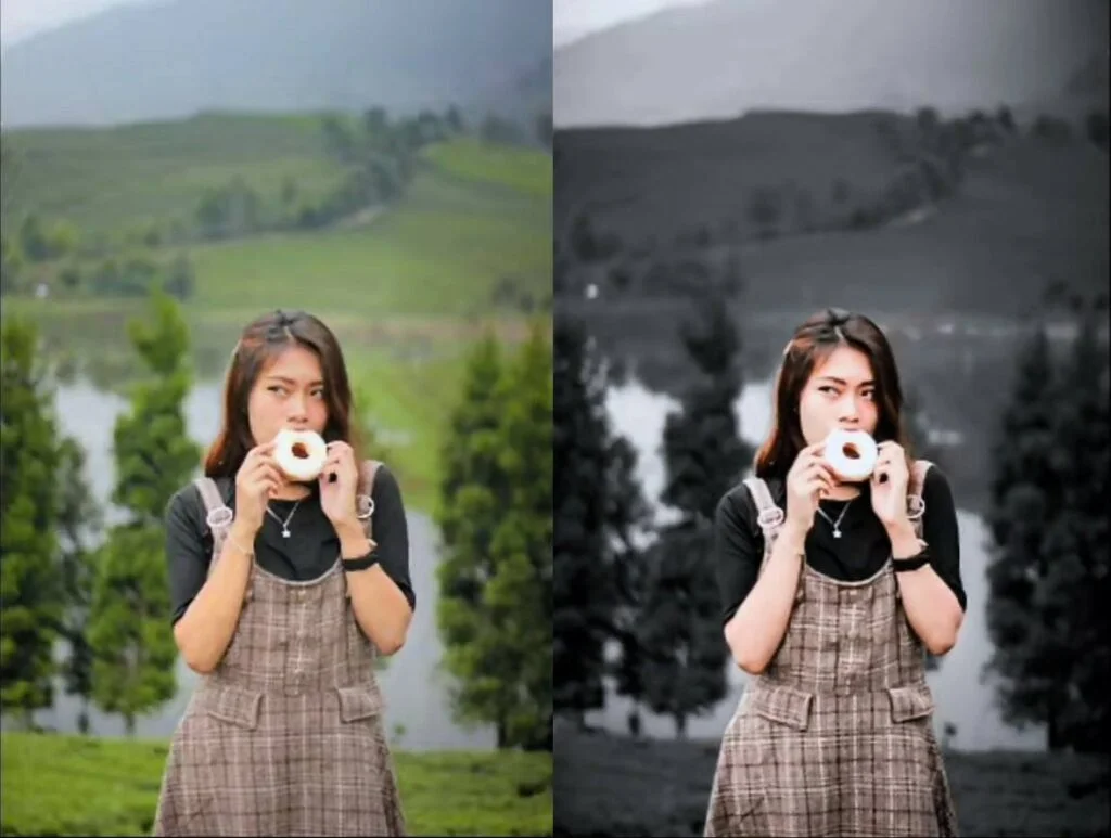 Rumus Lightroom Gelap