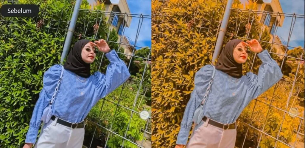 Rumus Lightroom Orange