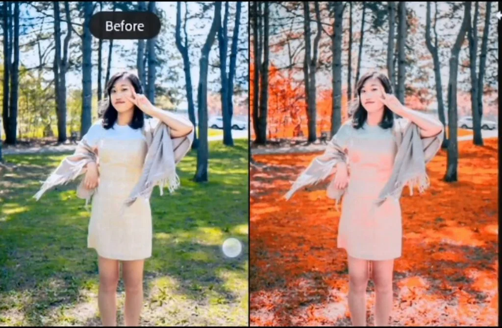 Rumus Lightroom Orange