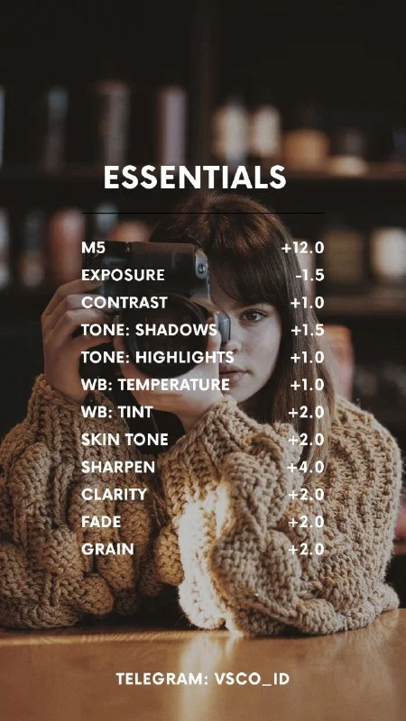 Preset VSCO