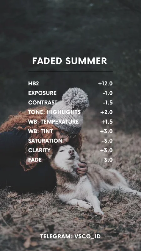 Preset VSCO