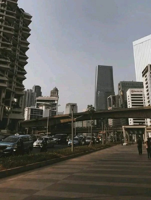 Preset Analog VSCO