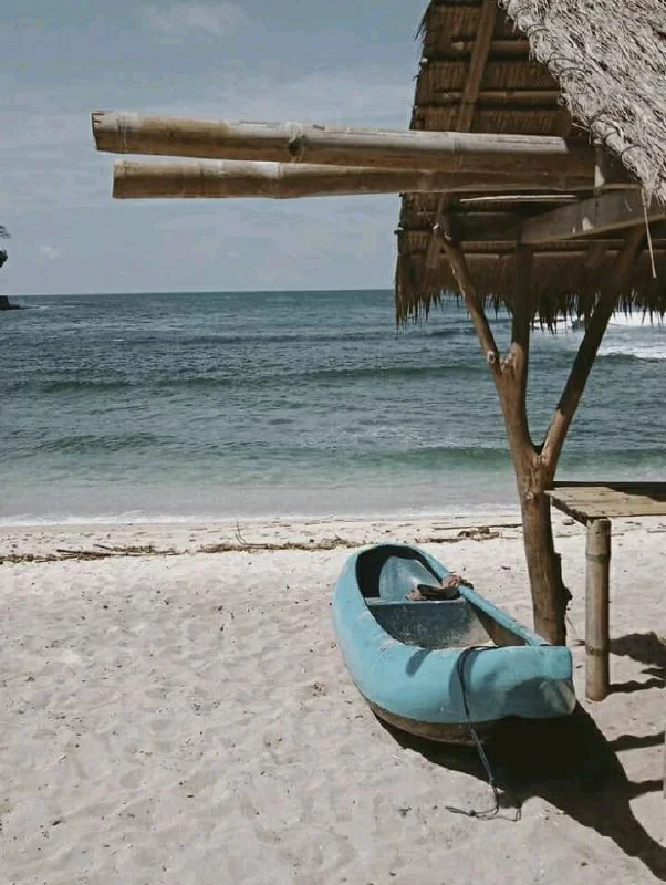 Preset Analog VSCO