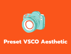 1000+ Kumpulan Preset VSCO Aesthetic Terbaru 2022