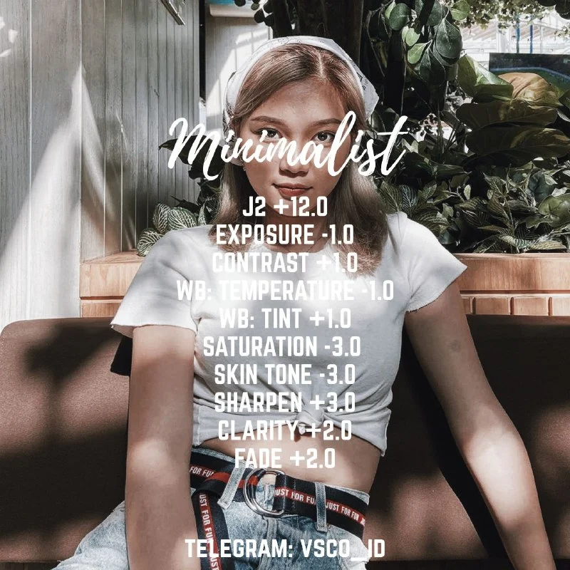VSCO Preset Minimalist