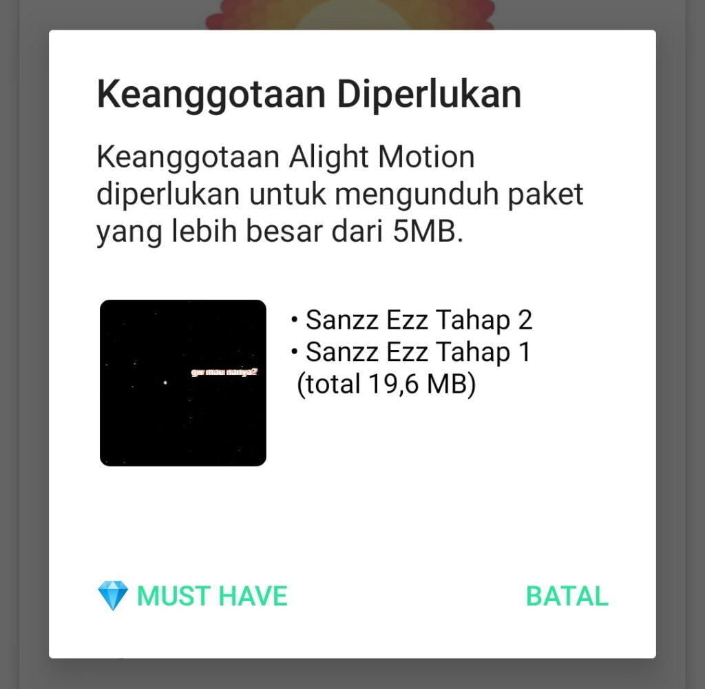 Kenapa Preset Alight Motion Tidak Bisa Digunakan