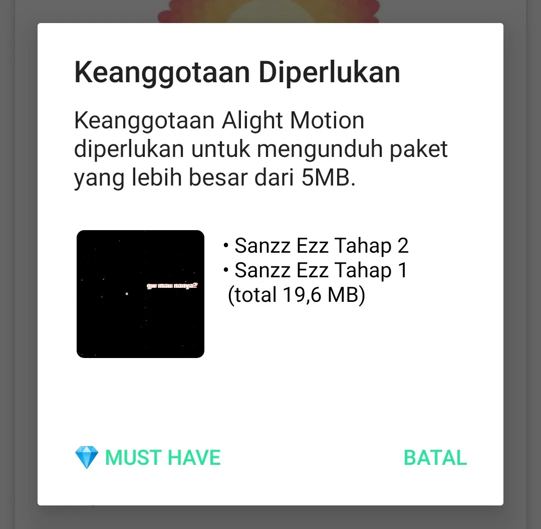 Kenapa Preset Alight Motion Tidak Bisa Digunakan