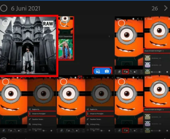 Cara Import Preset Lightroom DNG di iPhone