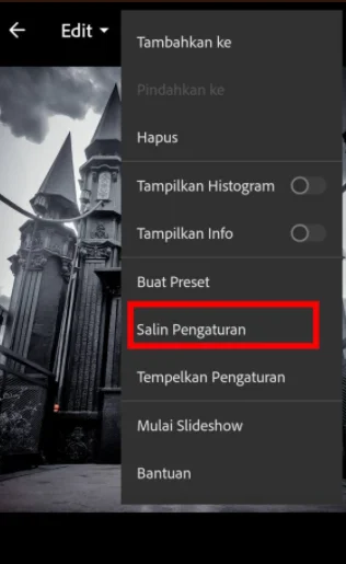 Cara Import Preset Lightroom DNG di iPhone