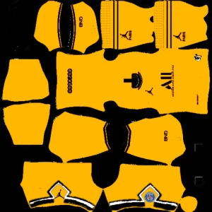 Kit DLS 21