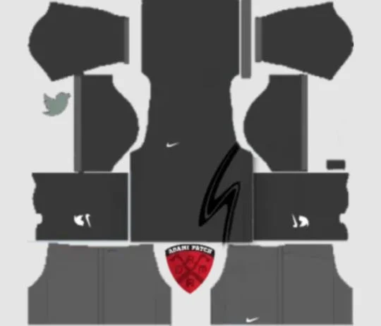 Kits DLS