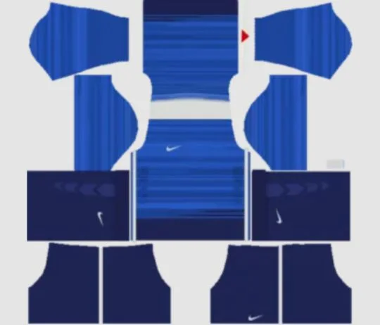 Kits DLS