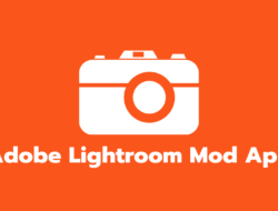 Download Adobe Lightroom Mod Apk Terbaru 2022 (Full Preset)