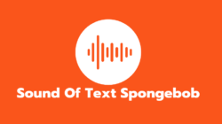 Sound Of Text Spongebob
