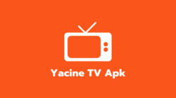 Yacine TV Apk