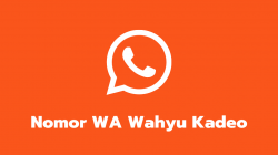Nomor WA Wahyu Kadeo