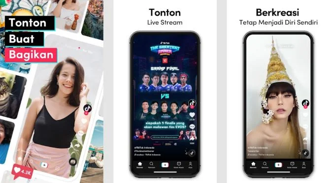 Cara Mendapatkan Nomor WA Artis