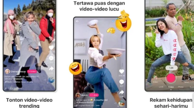 Cara Mendapatkan Nomor WA Artis