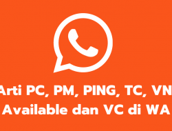 Arti PC, PM, PING, TC, VN, Available dan VC di WA (WhatsApp)
