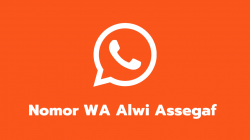 Nomor WA Alwi Assegaf
