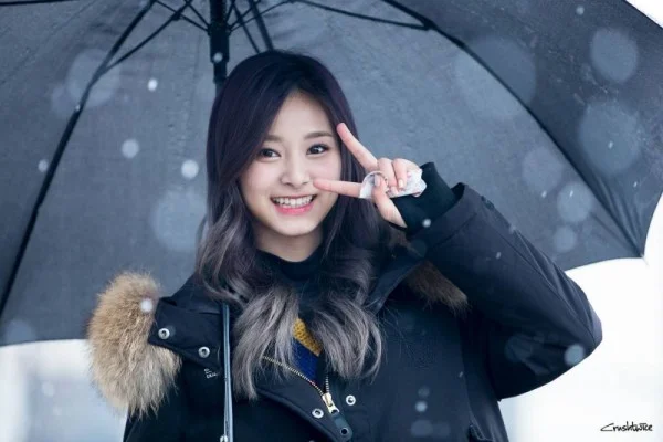 Cara Mendapatkan Nomor WA Artis