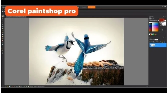 Corel paintshop pro