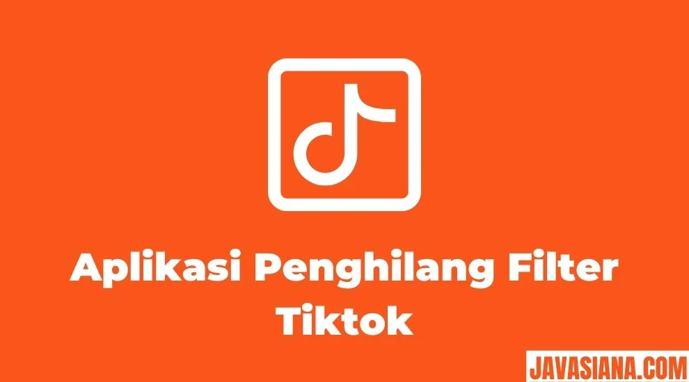Aplikasi Penghilang Filter Tiktok