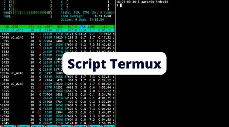 Script Termux 1