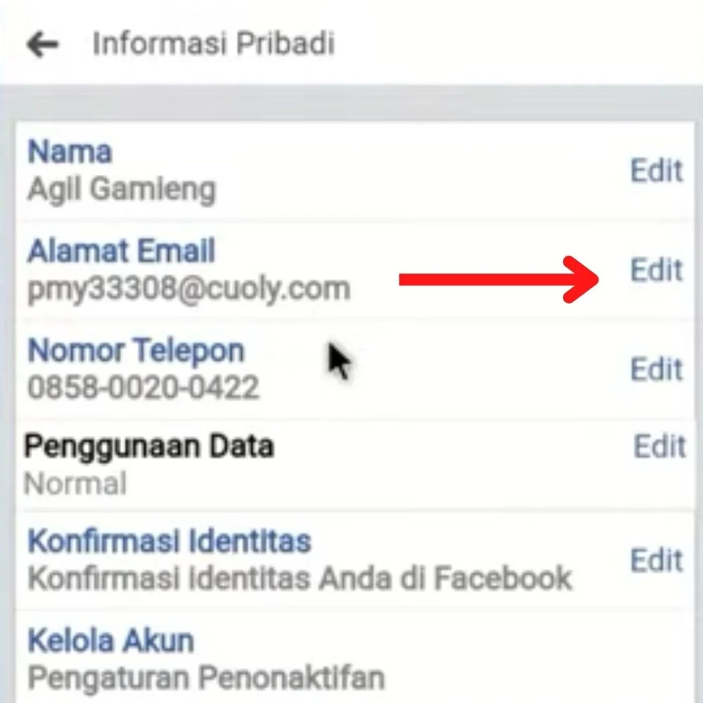 Cara Menghapus Email Utama di FB