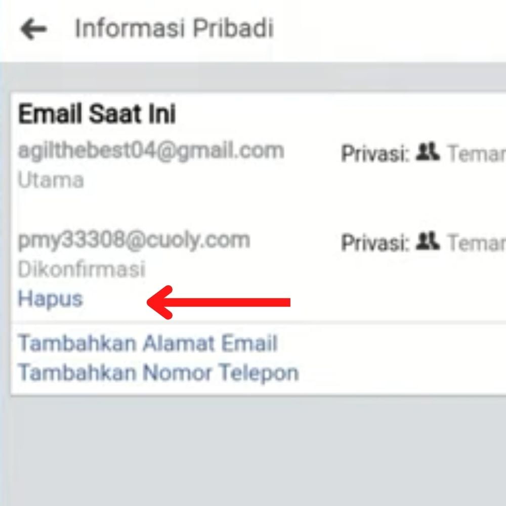 Cara Menghapus Email Utama di FB