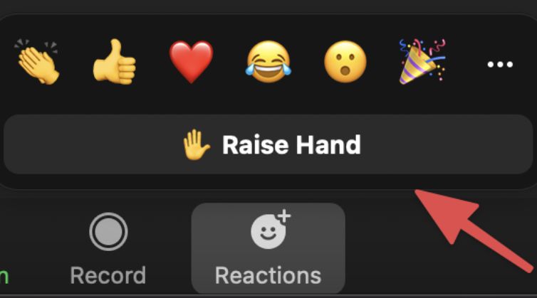 ikon raise hand