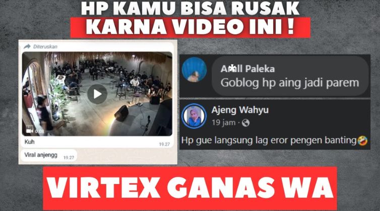 Video Virtex WA